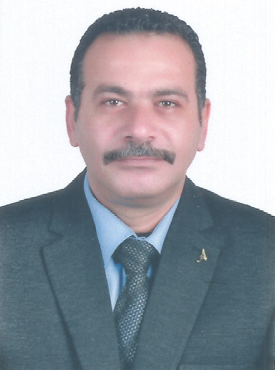 Ahmed Anwer El Elsayed Mohamed